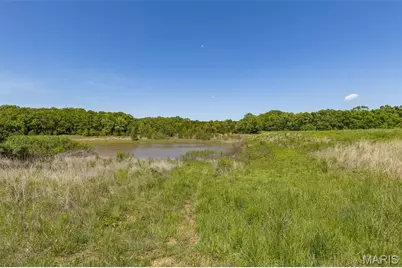 0 State Route 21, De Soto, MO 63020 - Photo 15