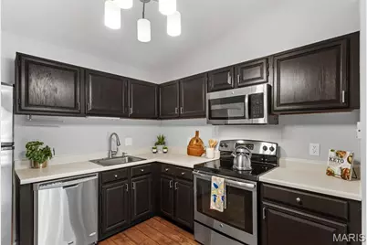 1961 Marine Terrace Drive #L, Saint Louis, MO 63146 - Photo 9
