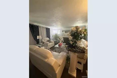 7710 Carleton Avenue, University City, MO 63130 - Photo 3