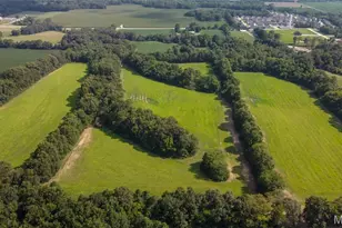 43 +/- Acres Cuivre Point Rd, Moscow Mills, MO 63362 - Photo 1