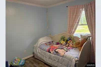 317 Marty Drive, Desloge, MO 63601 - Photo 19