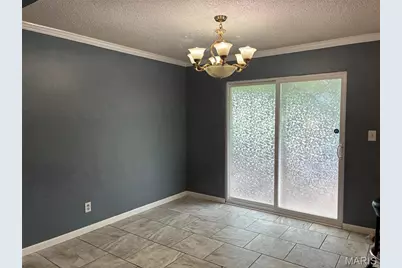 317 Marty Drive, Desloge, MO 63601 - Photo 9