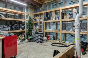 168 Woodland Pl Ct, Saint Charles, MO 63303 - Photo 43