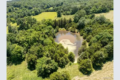 62 Dillard Mill Road, Ellisville, MO 65456 - Photo 51