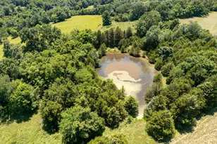 62 Dillard Mill Rd, Ellisville, MO 65456 - Photo 51