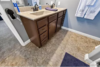 146 Shadow Pointe Drive, Wentzville, MO 63385 - Photo 25