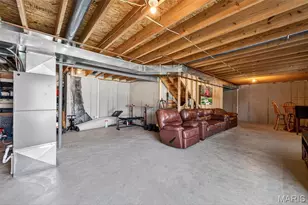 146 Shadow Pointe Dr, Wentzville, MO 63385 - Photo 29