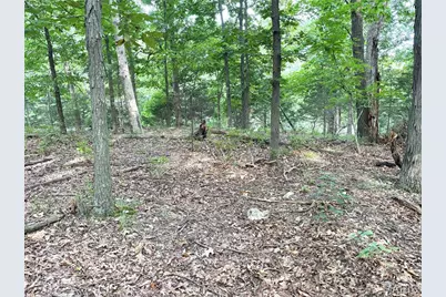 17134 Hidden Valley Forest, Wildwood, MO 63025 - Photo 3