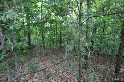 8B Donegal, Warrenton, MO 63383 - Photo 13