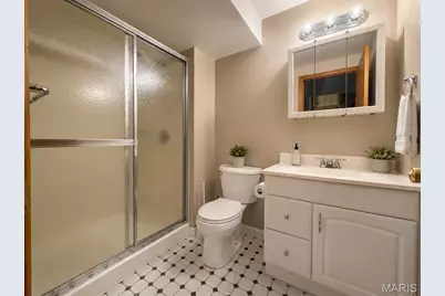 1603 Ronny Dr, De Soto, MO 63020 - Photo 41