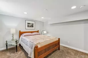 2704 Louisiana Ave, Saint Louis, MO 63118 - Photo 21