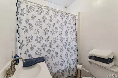 4265 Botanical Avenue, Saint Louis, MO 63110 - Photo 9