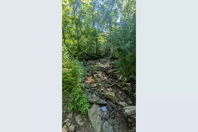 8+/- Ac Walker Road, Troy, MO 63379 - Photo 11