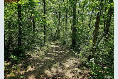 8+/- Ac Walker Road, Troy, MO 63379 - Photo 5