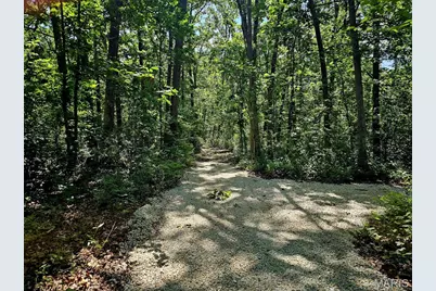 8+/- Ac Walker Road, Troy, MO 63379 - Photo 3
