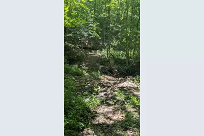 8+/- Ac Walker Road, Troy, MO 63379 - Photo 15