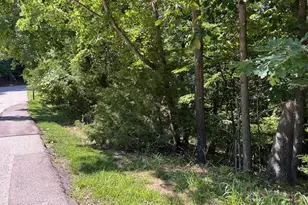 817 Wildflower Valley Dr, High Ridge, MO 63049 - Photo 5