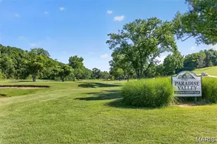 817 Wildflower Valley Dr, High Ridge, MO 63049 - Photo 9