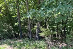 817 Wildflower Valley Dr, High Ridge, MO 63049 - Photo 3
