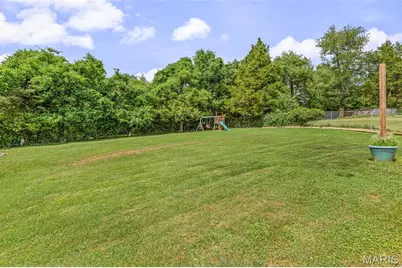 105 Meadow Lane, Festus, MO 63028 - Photo 41