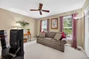 255 Towers Creek Pl, Saint Charles, MO 63304 - Photo 29