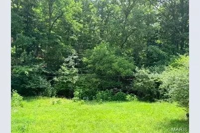 00 NE 6th Street, Mill Spring, MO 63952 - Photo 5