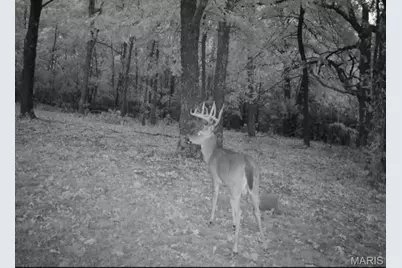 25676 Highway Yy, Lebanon, MO 65536 - Photo 51