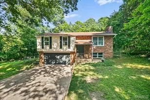 3310 Lynch Rd, Pacific, MO 63069 - Photo 29