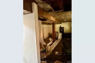 4426 Carter Avenue, Saint Louis, MO 63115 - Photo 15