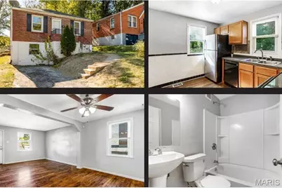 7032 Theodore Avenue, Saint Louis, MO 63136 - Photo 1