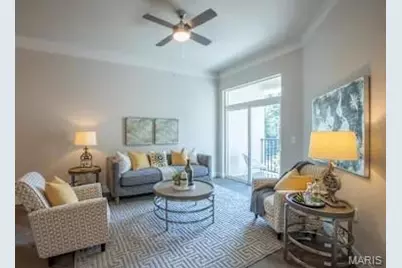 226 E Lockwood Avenue #210, Saint Louis, MO 63119 - Photo 15