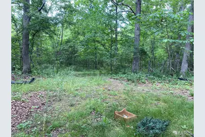 17656 S State Highway 21, Potosi, MO 63664 - Photo 15