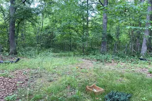 17656 S State Hwy 21, Potosi, MO 63664 - Photo 15