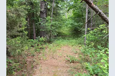 17656 S State Highway 21, Potosi, MO 63664 - Photo 19