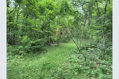 17656 S State Highway 21, Potosi, MO 63664 - Photo 17