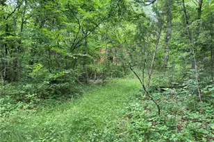 17656 S State Hwy 21, Potosi, MO 63664 - Photo 17