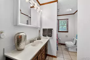 15633 Pike 237, Ellisville, MO 63336 - Photo 23