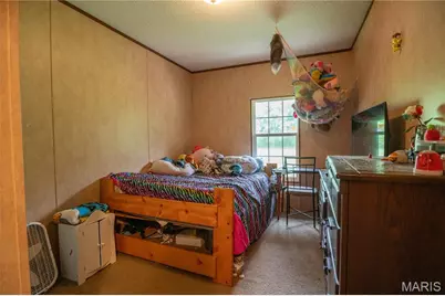 3822 Wayne Route Bb, Greendale, MO 63944 - Photo 33