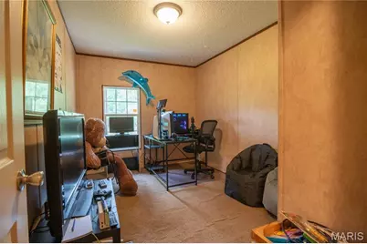 3822 Wayne Route Bb, Greendale, MO 63944 - Photo 31