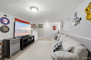 5229 Lisette Ave, Saint Louis, MO 63109 - Photo 21