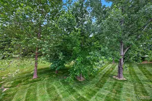 4130 Cripple Creek Ct, Wentzville, MO 63385 - Photo 47