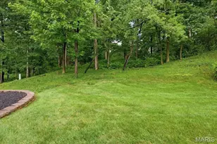 [Address not provided], Des Peres, MO 63131 - Photo 39