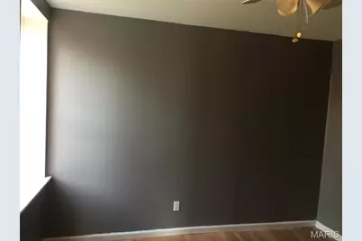 3753 Marine Avenue, Saint Louis, MO 63118 - Photo 5