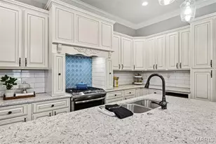 1123 Kentucky Ave, Saint Louis, MO 63110 - Photo 17