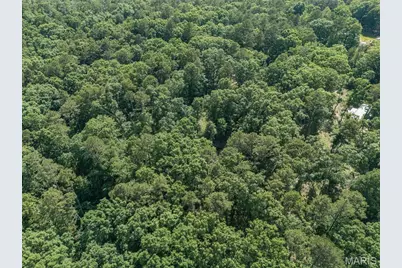 10130 Fish Hook Road, Potosi, MO 63664 - Photo 21