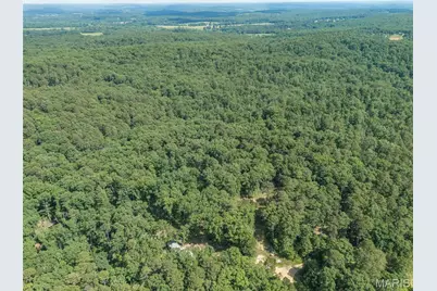 10130 Fish Hook Road, Potosi, MO 63664 - Photo 25