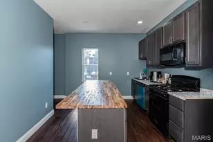 3436 Pennsylvania Ave, Saint Louis, MO 63118 - Photo 39