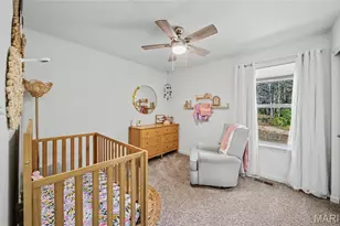 3131 White Pine Dr, Imperial, MO 63052 - Photo 19