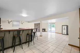 113 Sunnybrook Dr, Festus, MO 63028 - Photo 49