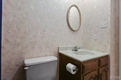 113 Sunnybrook Drive, Festus, MO 63028 - Photo 45